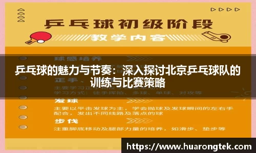 乒乓球的魅力与节奏：深入探讨北京乒乓球队的训练与比赛策略